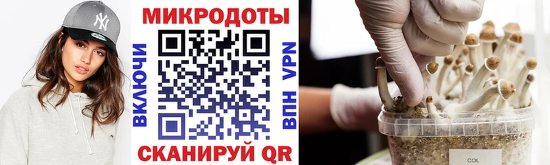 Галлюциногенные грибы мухоморы ссылка на мегу tor Свирск