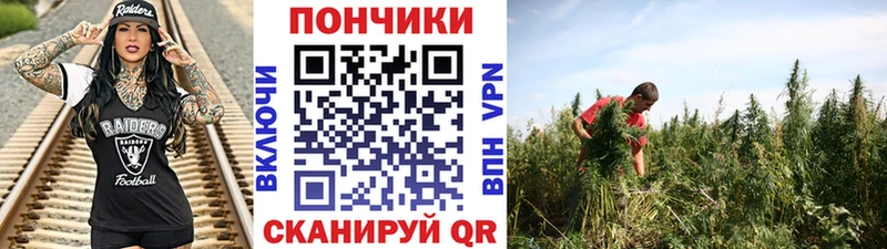 Каннабис VHQ  как найти закладки  Свирск 